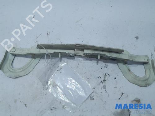 hingedoor-check-strap-peugeot-expert-van-vf3a_-vf3u_-vf3x_-2007-31495497 main image