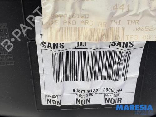 Rear right panel DS DS 4 / DS 4 CROSSBACK (NX_) 1.6 BlueHDi 120 | BP31389569C61 