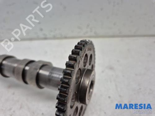 Other FIAT PUNTO (199_) 0.9 | BP31402331O1 