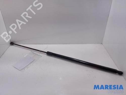 tailgate-lift-support-fiat-doblo-cargo-263_-2010-31431739 main image