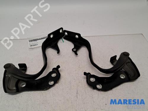 hingedoor-check-strap-fiat-500-312_-2007-31390047 main image