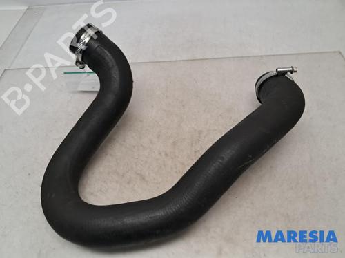 Pipe PEUGEOT 308 SW II (LC_, LJ_, LR_, LX_, L4_) 1.6 BlueHDi 120 | BP31465165M125