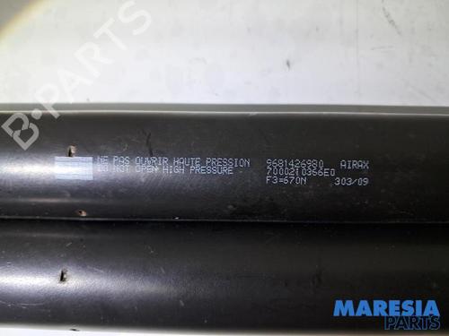 Tailgate lift support PEUGEOT PARTNER Tepee 1.6 VTi | BP31460242C138 - Image 4