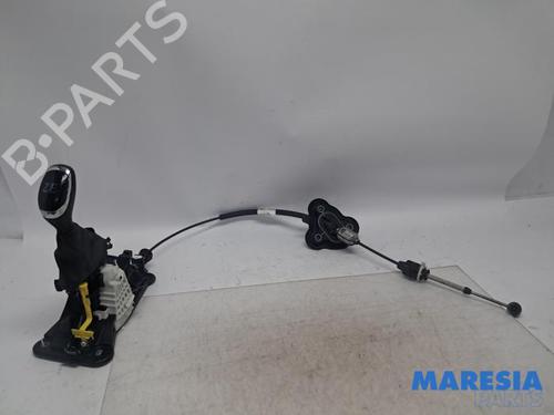 Gearstang Gearstang 38758734 38758734