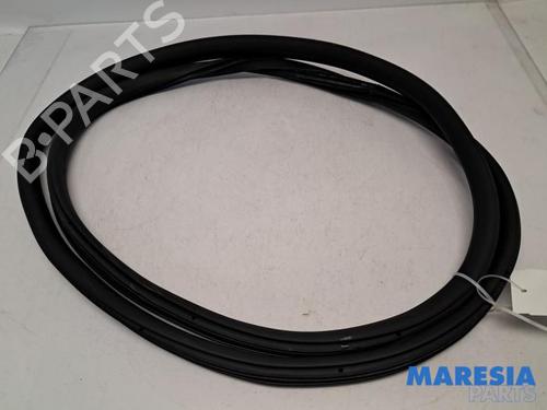 BP31419235C142 main image