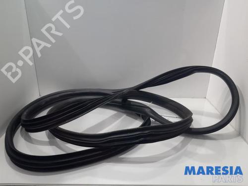 borracha-vedante-da-porta-renault-master-iii-van-fv-2010-31389741 main image