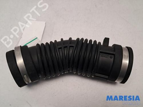Pipe RENAULT SCÉNIC III (JZ0/1_) 1.6 dCi (JZ00, JZ12) | BP31497111M125