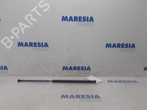 tailgate-lift-support-citroen-c1-pm_-pn_-2005-2006-2007-2008-2009-2010-2011-2012-2013-2014-31536881 main image