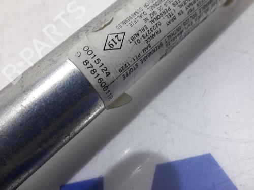 Other RENAULT SCÉNIC III (JZ0/1_) 1.6 16V (JZ0U, JZ1B) | BP31505432O1