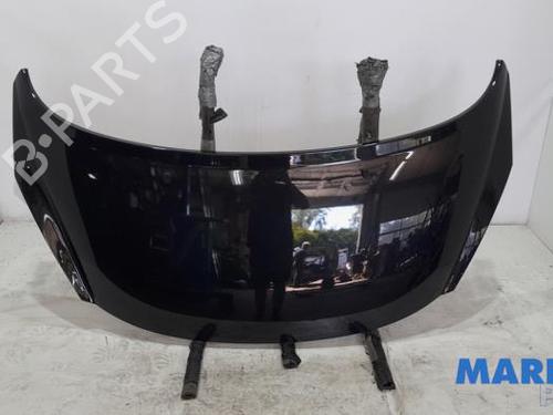 Used Hood PEUGEOT 207 CC (WD_) 1.6 16V Turbo (150 hp) 31408677