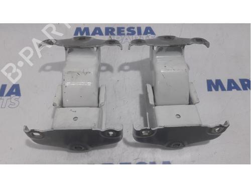 Hinge/Door check strap RENAULT TRAFIC II Van (FL) 2.0 dCi 115 (FL01, FL0U, FL00, FL0H, FL0M) | BP31458712C146