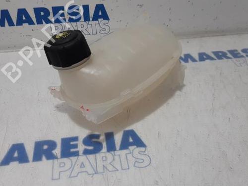 Ekspansjonstank RENAULT CLIO V (B7_) 1.0 TCe 100 (B7MT) (101 hp) 31497741