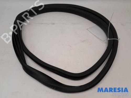 Gummiliste RENAULT ZOE (BFM_) ZOE (BFMD) (109 hp) 31439120