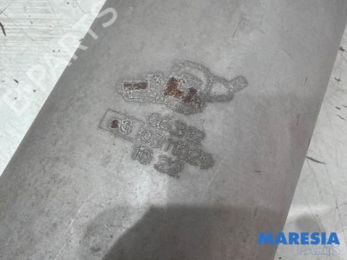 Exhaust system FIAT 500 C (312_) 0.9 (312AG1A) | BP38285036M121 - Image 4