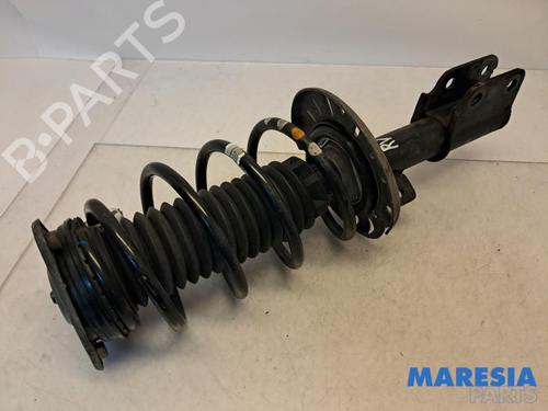 BP31446724M17 main image