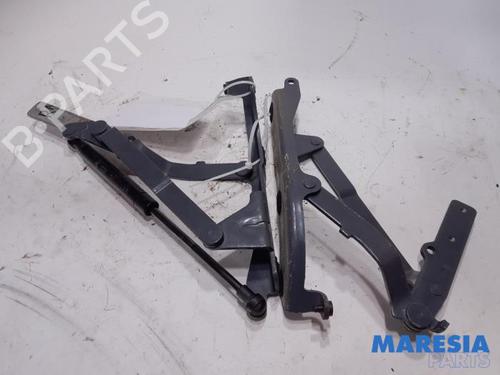 Used Hinge/Door check strap FIAT 500 C (312_) 1.2 (312CXA1A, 312AXA1A) (69 hp) 31429960