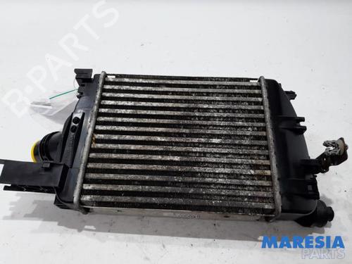 Intercooler RENAULT CLIO IV Grandtour (KH_) 0.9 TCe 90 | BP31432070M30 
