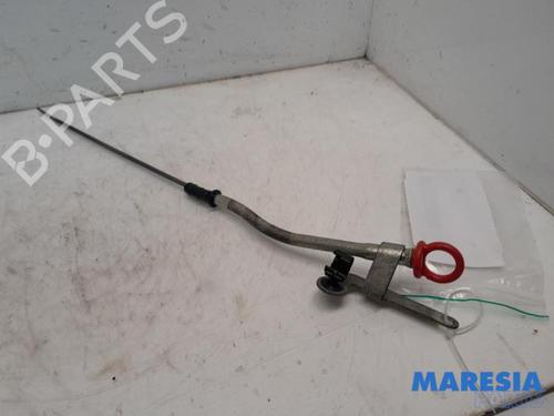 Other FIAT 500 (312_) 1.2 (312AXA1A) | BP31501665O1