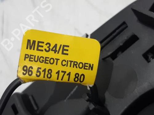 Interior roof light PEUGEOT 508 SW I (8E_) 2.0 HDi RXH Hybrid4 | BP31530390I8 