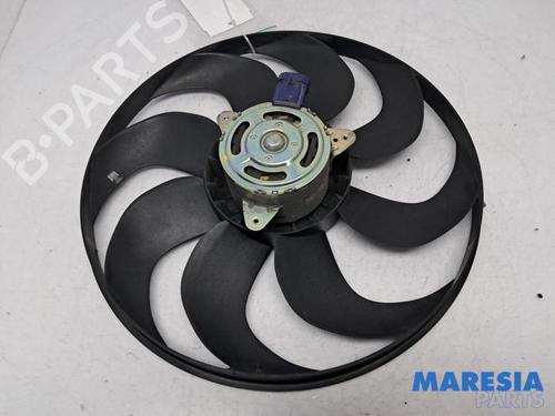 Pipe RENAULT CLIO IV (BH_) 0.9 TCe 90 (BHNF, BHMA, BHMH, BHJK, BHJR) | BP31391231M125