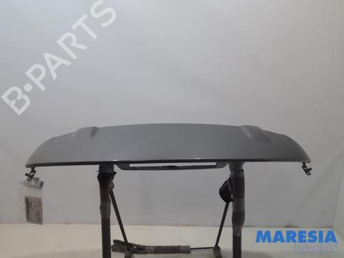 BP31392381C96 main image