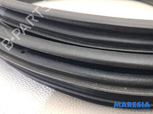 Gummiliste RENAULT CAPTUR I (J5_, H5_) 1.2 TCe 120 | BP31816451C142