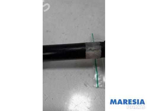 Washer pump RENAULT ESPACE IV (JK0/1_) 2.0 dCi (JK01, JK02, JK1J, JK1K, JK1H) | BP31479715E24