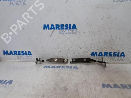 Used Hinge/Door check strap CITROËN DS3 (SA_) 1.4 HDi 70 (SA8HP4) (68 hp) 31524530