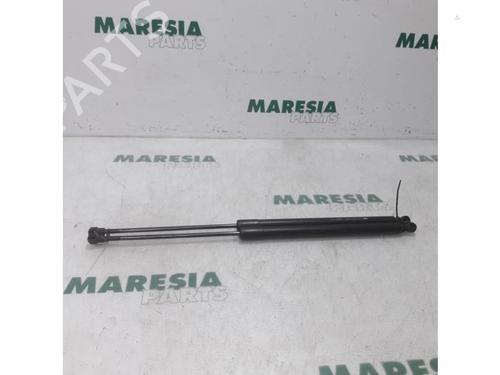 gasdmper-bagklap-citroen-c3-picasso-sh_-2008-31400525 main image