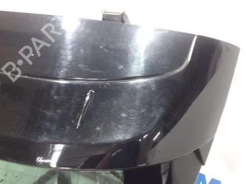 Tailgate RENAULT MEGANE III Coupe (DZ0/1_) 2.0 TCe (DZ1N) | BP31395971C6