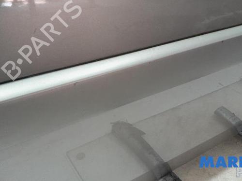 Right front door RENAULT GRAND SCÉNIC II (JM0/1_) 2.0 | BP31497333C3 