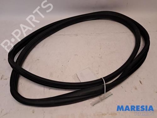 Gummiliste FIAT 500 (312_) 1.2 (312AXA1A) (69 hp) 31524489