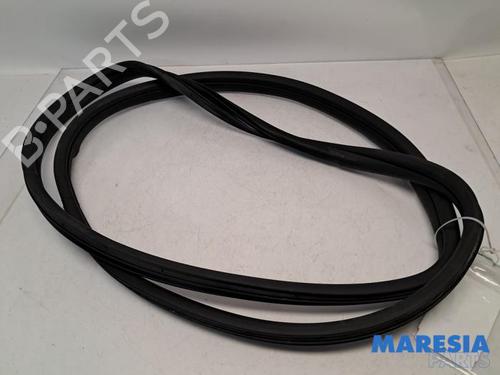 Gummiliste FIAT 500 (312_) 1.2 (312AXA1A) (69 hp) 31493525