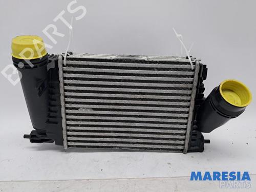Used Intercooler Intercooler RENAULT ESPACE V (JR_) 1.6 TCe 200 (200 hp) 35820674 35820674