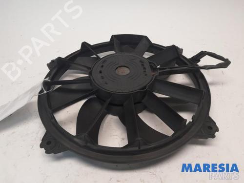 Pipe PEUGEOT RCZ 2.0 HDi | BP31467022M125