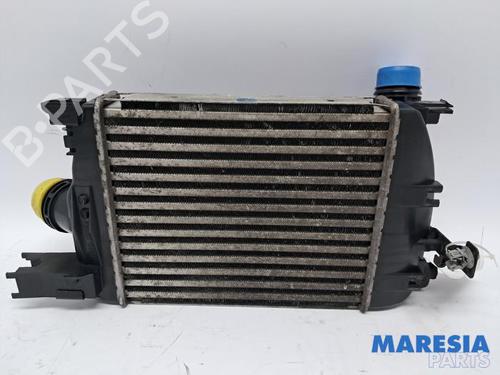 Intercooler Intercooler RENAULT CAPTUR I (J5_, H5_) 0.9 TCe 90 (90 hp) 34406648 34406648