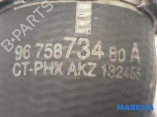 Pipe CITROËN C4 Picasso II 1.6 THP 155 | BP31509513M125