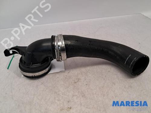 BP31529374M125 main image