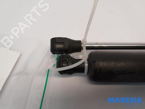 Gasdæmper bagklap CITROËN BERLINGO MULTISPACE (B9) 1.6 | BP31470491C138