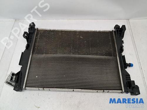 Used Water radiator RENAULT ZOE Hatchback Van (BFM_) Electric (BFME) (92 hp) 31478481