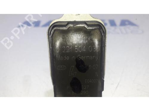 Ignition coil RENAULT SCÉNIC III (JZ0/1_) 2.0 16V (JZ0G, JZ0P, JZ1E, JZ1P) | BP31431266M94