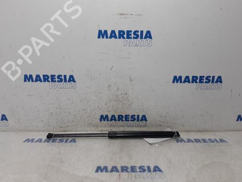 tailgate-lift-support-citroen-c4-grand-picasso-i-ua_-2006-2007-2008-2009-2010-2011-2012-2013-31396330 main image