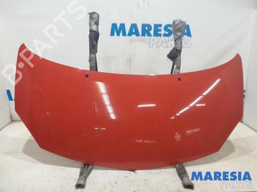 Motorhjelm RENAULT TWINGO II (CN0_) 1.2 (CN0D) (58 hp) 31426531