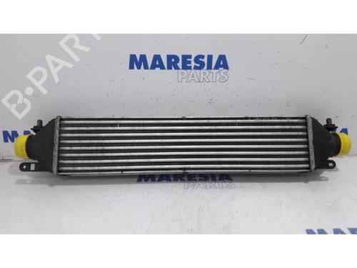 Used Intercooler FIAT DOBLO Cargo (263_) 1.3 D Multijet (90 hp) 31483079
