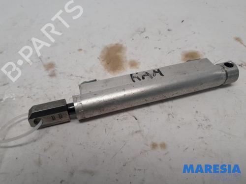 BP31384409O1 main image