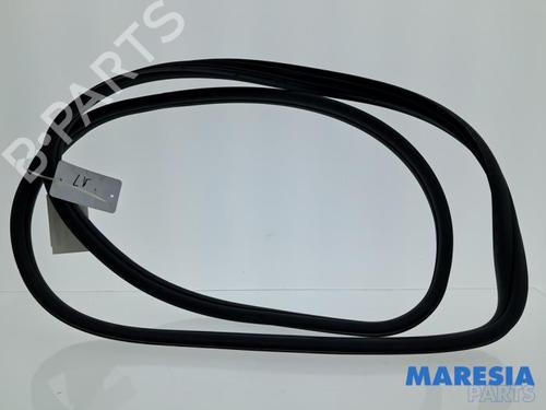 Joint de porte de voiture FIAT 500 C (312_) 0.9 (312AG1A) (86 hp) 32069125