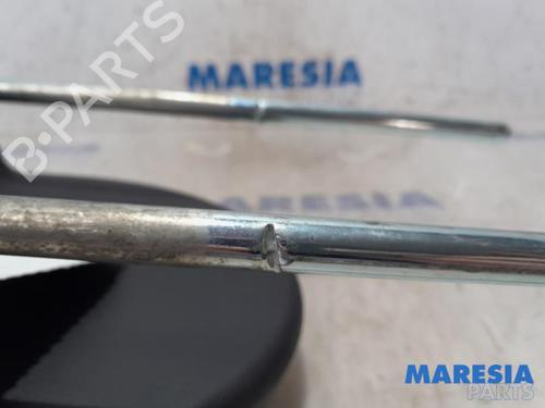 Headrest FIAT 500 (312_) 1.2 (312AXA1A) | BP31487450I31 - Image 5