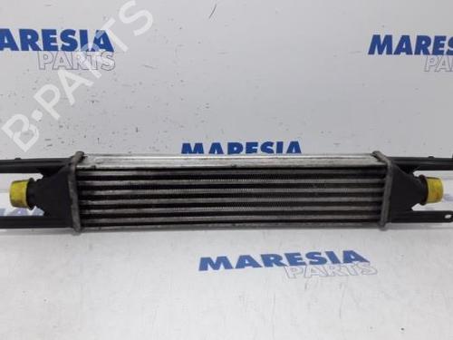 Intercooler FIAT PUNTO EVO (199_) 1.3 D Multijet (84 hp) 31506812