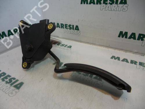 BP31495942M83 main image