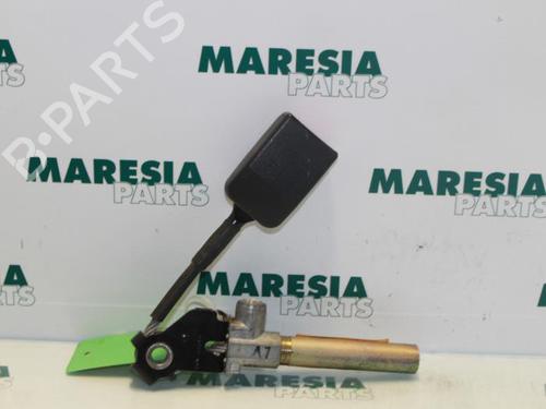 Used Other RENAULT 19 II (B/C53_) 1.9 D (B/C53J) (64 hp) 31510116